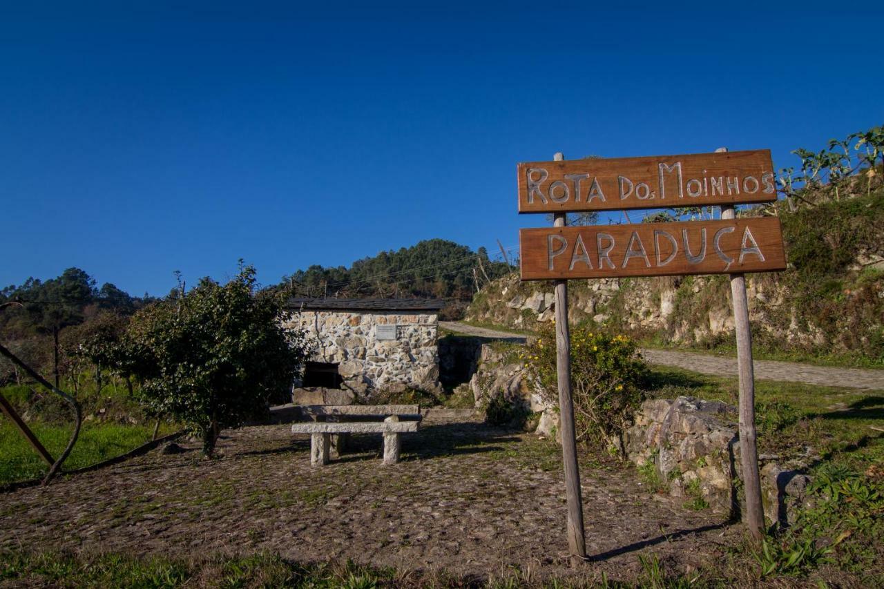 Cabanelas Country House - Casa Do Afonso Vale de Cambra Esterno foto